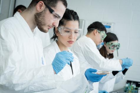 biology students in lab
