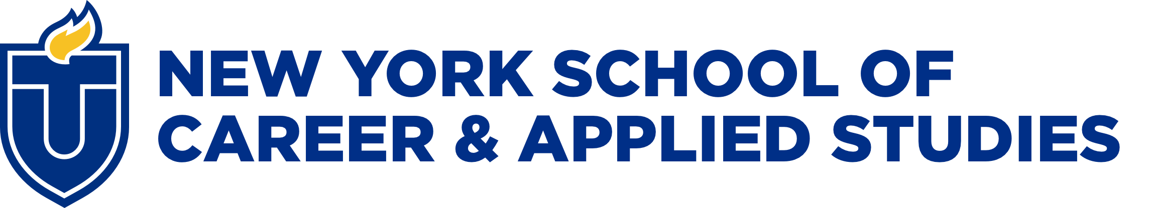 New York School for Career and Applied Studies